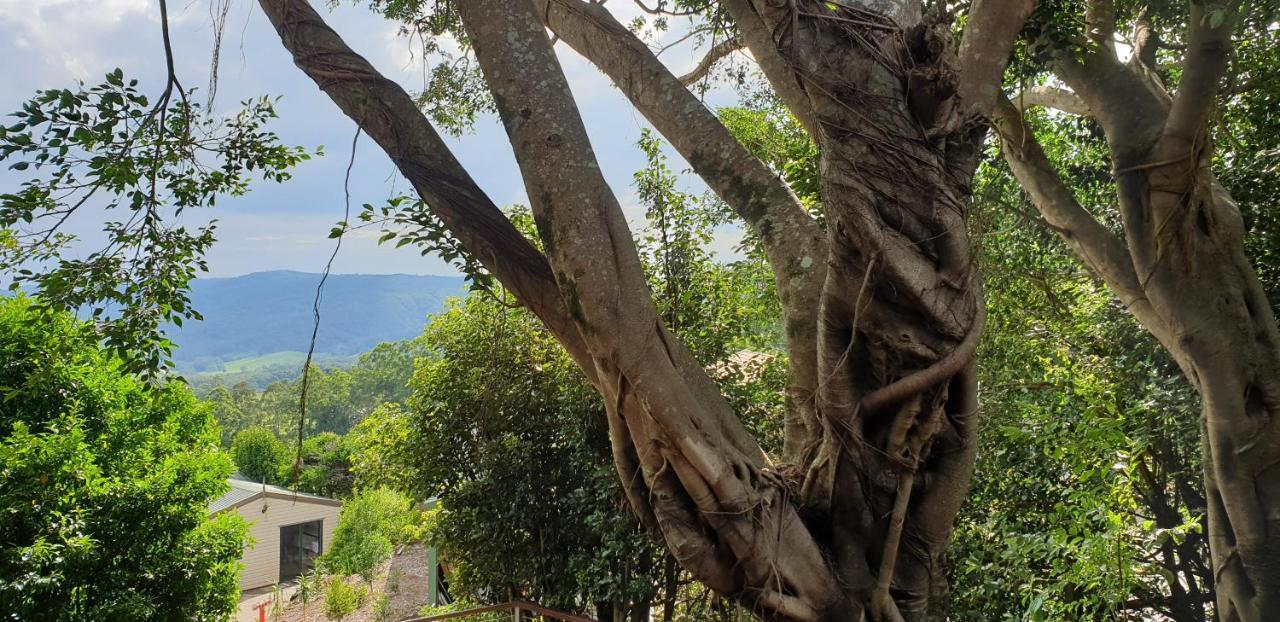 במוטל מלני Tranquil Park מראה חיצוני תמונה